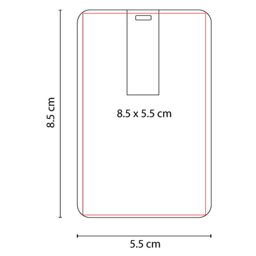USB TARJETA AUSTEN 8 GB 2