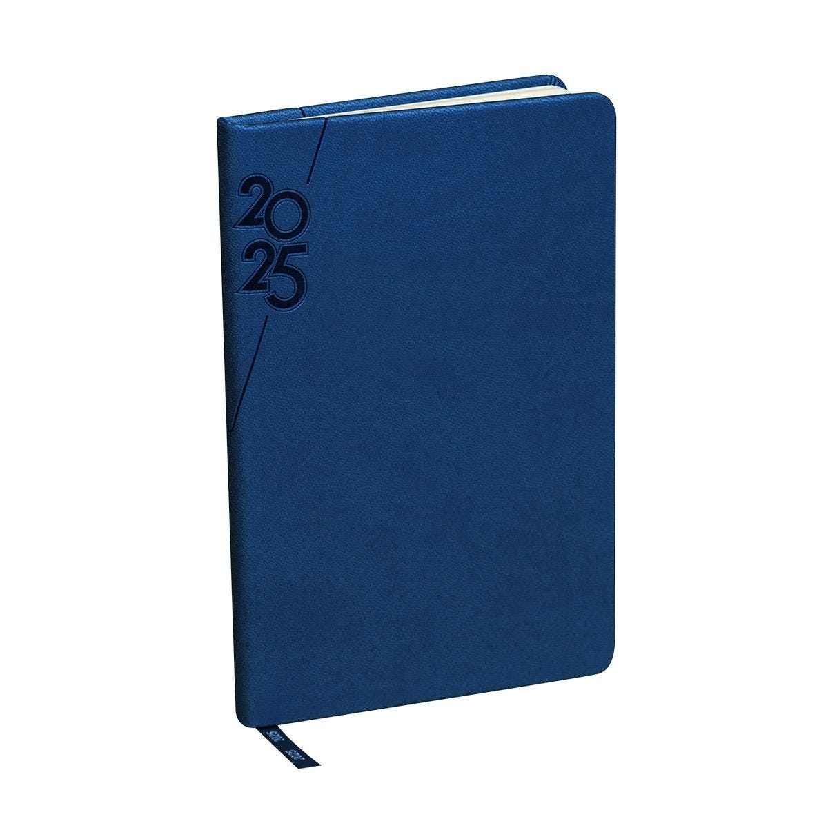 AGENDA MINI TERRA 2025 AZUL REY 2